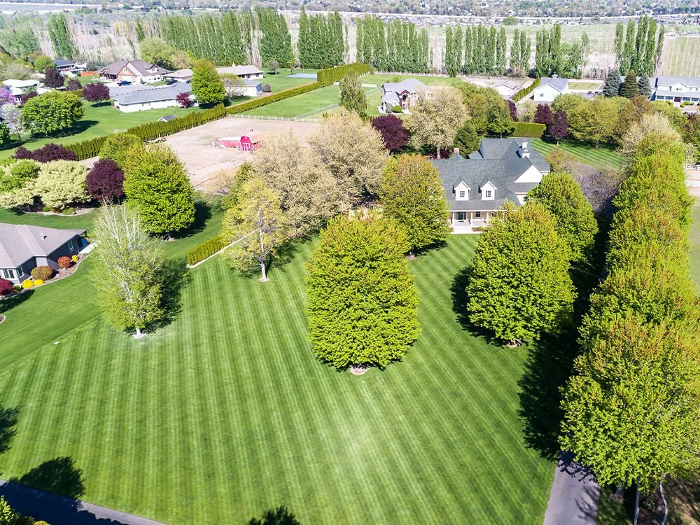 large home landscaping with trees