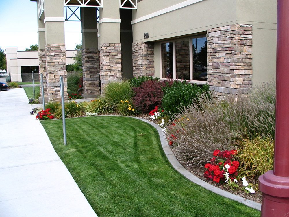 commercial landscaped with shrubs